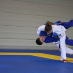 Fight (11)