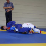 Fight (12)